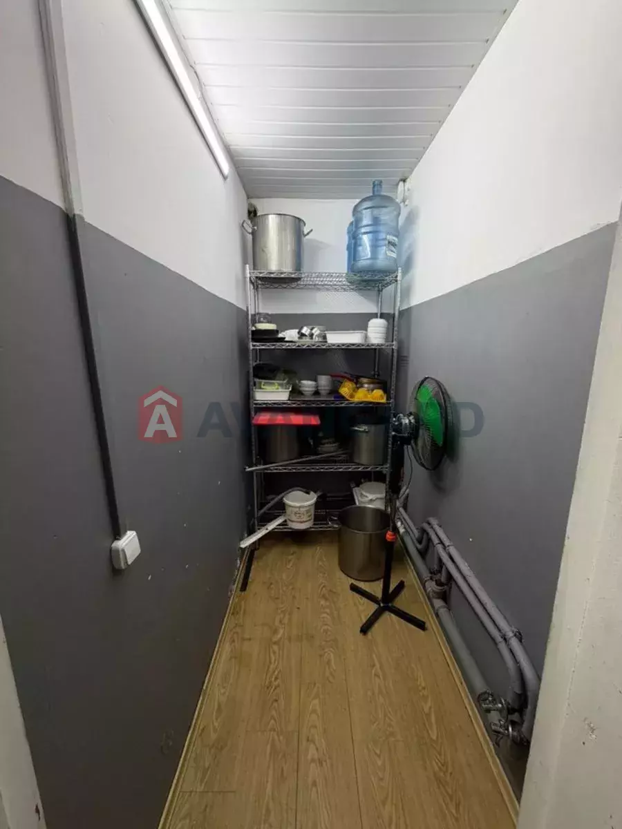 ���������� �����, 265 ��.�. ���� 12