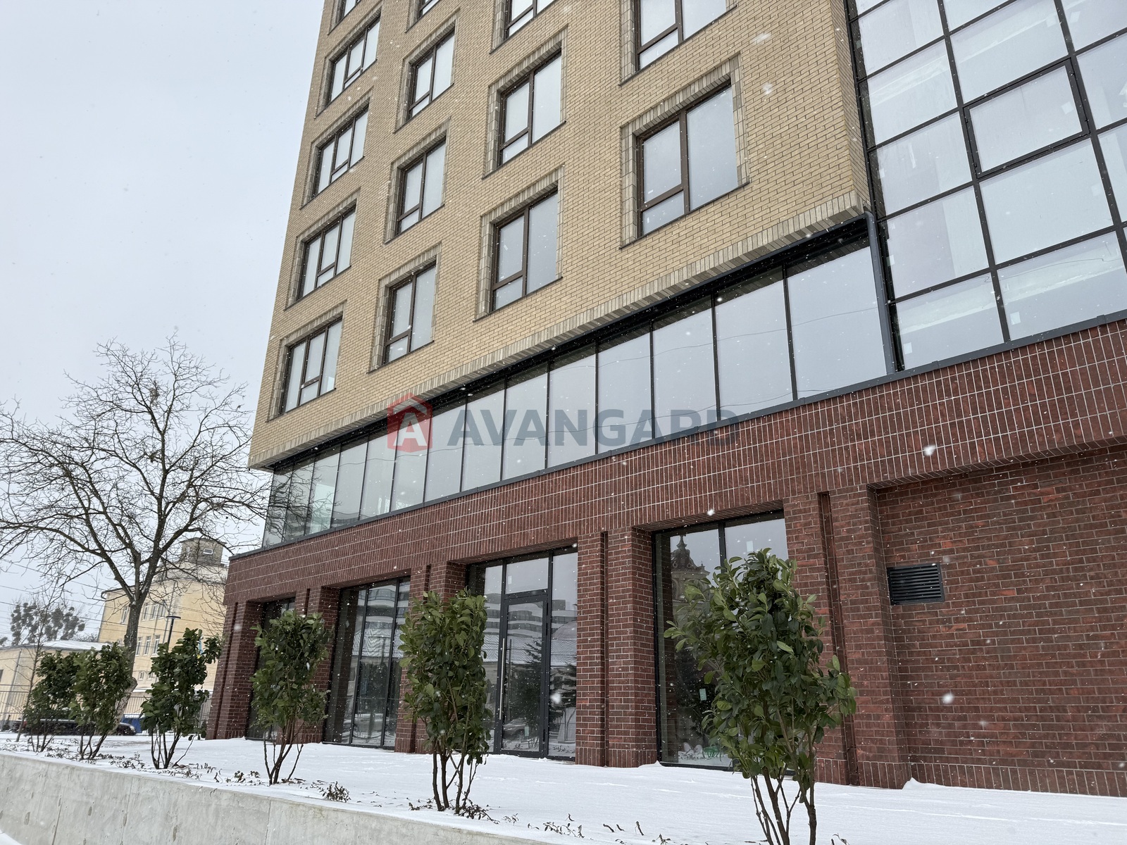 ���������� �����, ����, ���, ��������, ����� ������, 80 ��.�. ���� 20