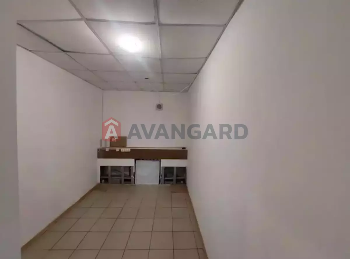 ���������� �����, 55 ��.�. ���� 10