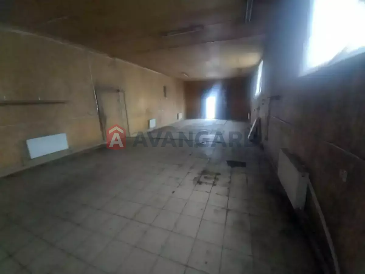 ����� �����, 100 ��.�. ���� 3