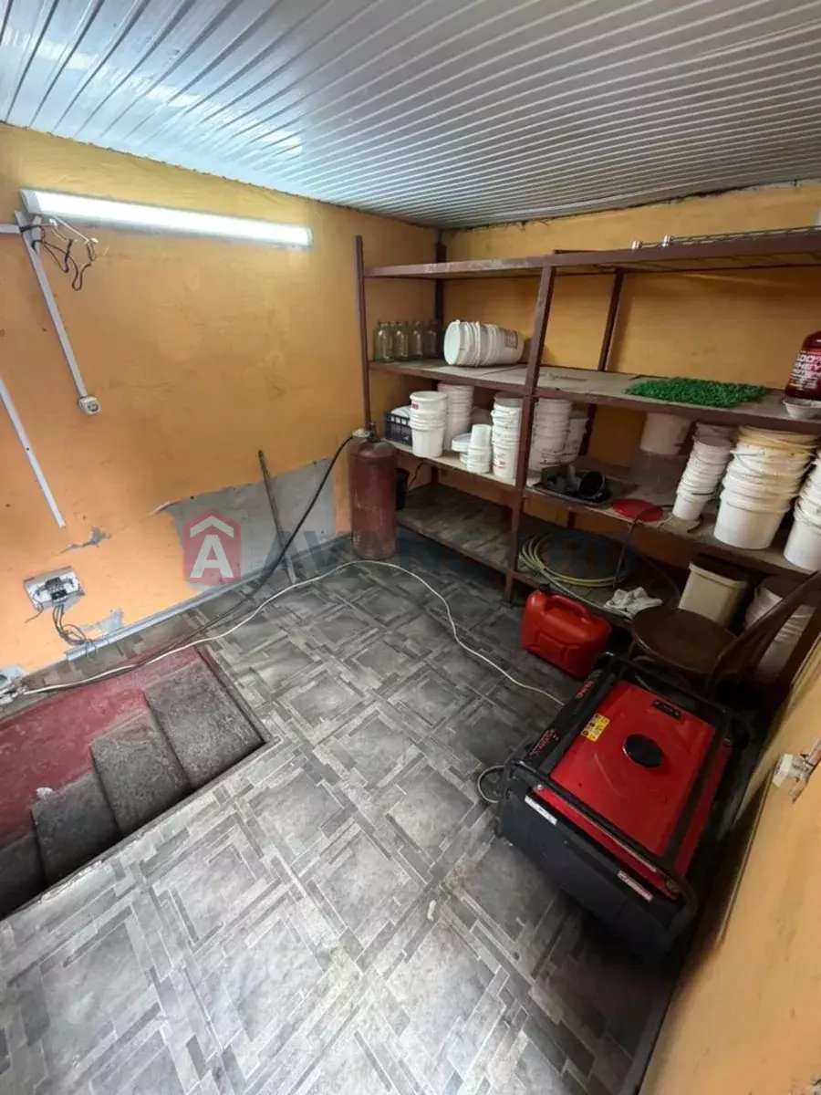 ���������� �����, 265 ��.�. ���� 10