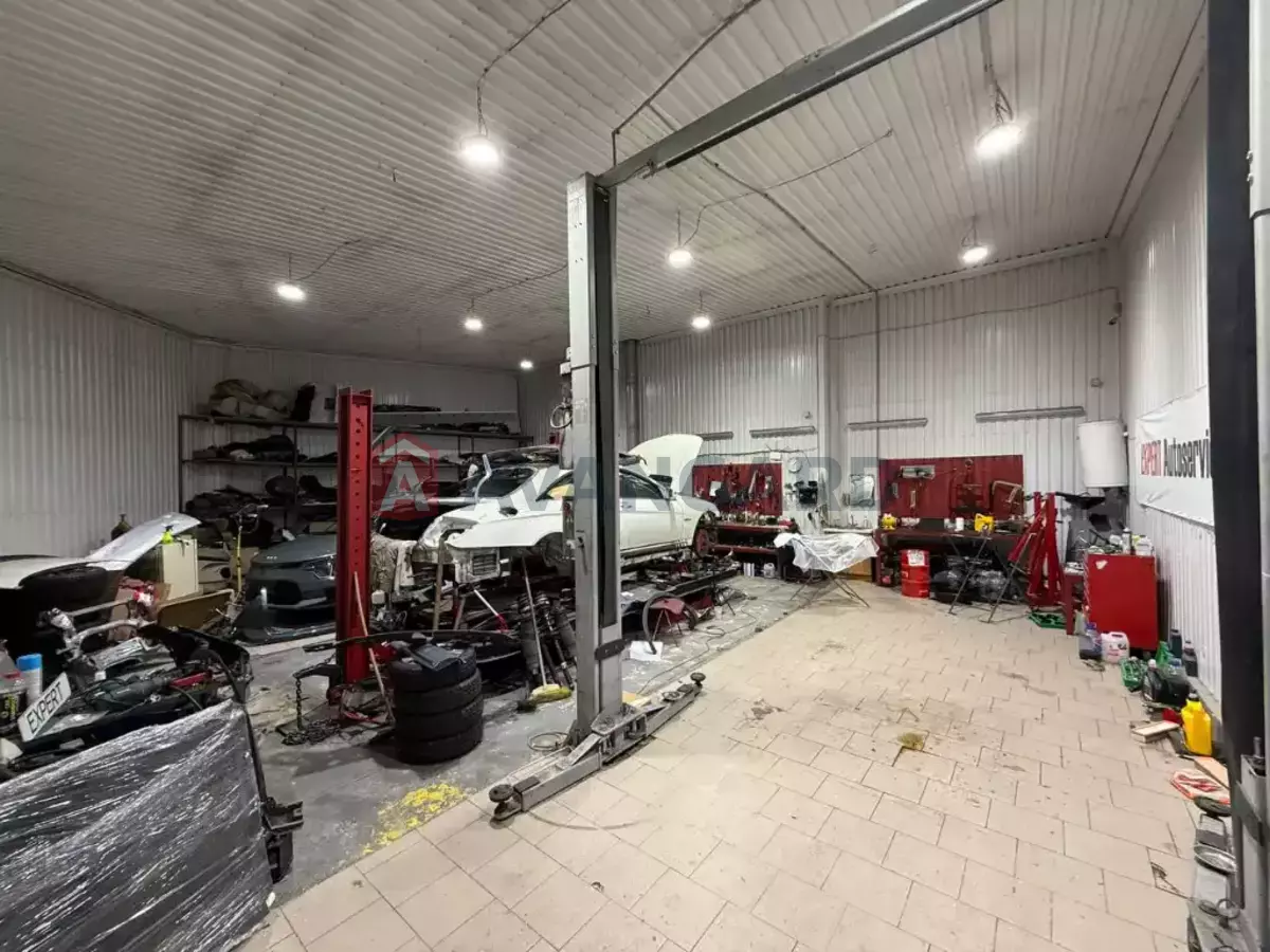 �������� �������, 400 ��.�. ���� 7