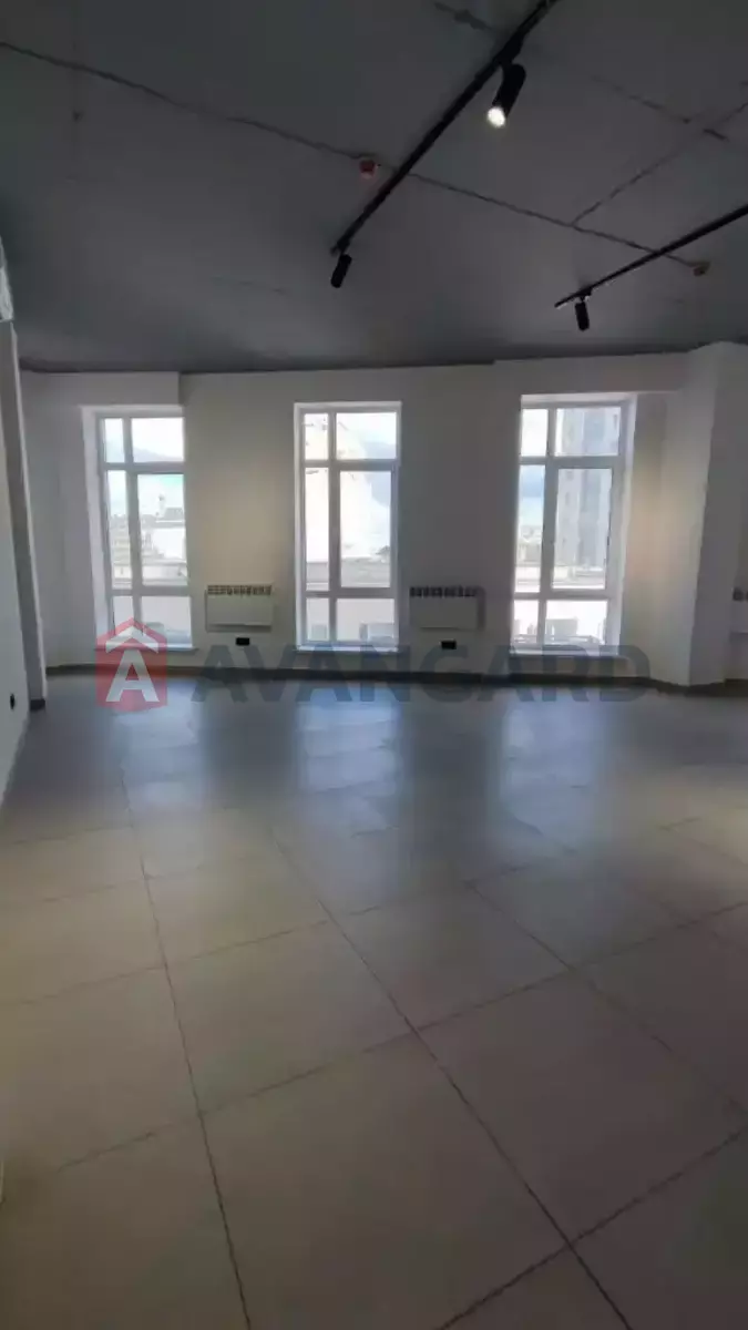 �������� �������, 61 ��.�. ���� 1