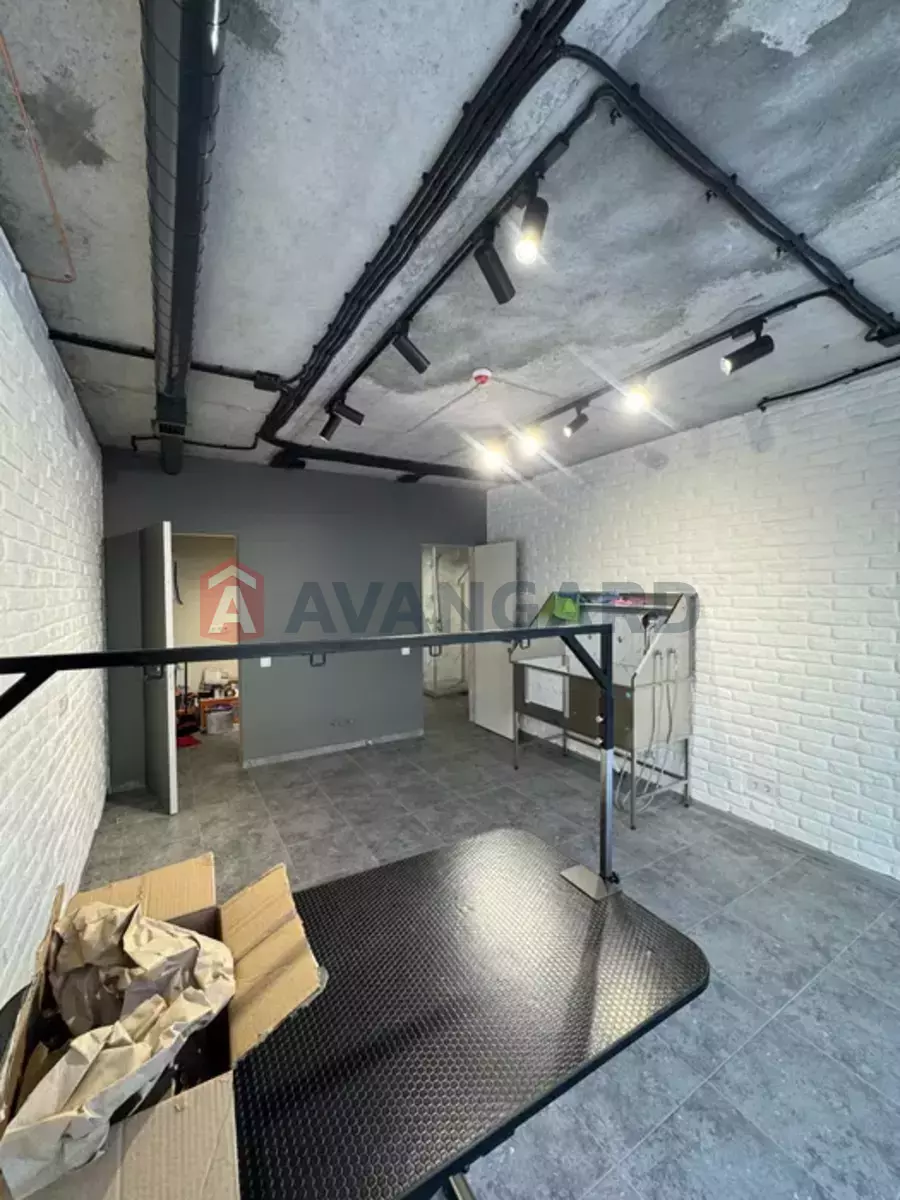 �������� �������, 48 ��.�. ���� 13