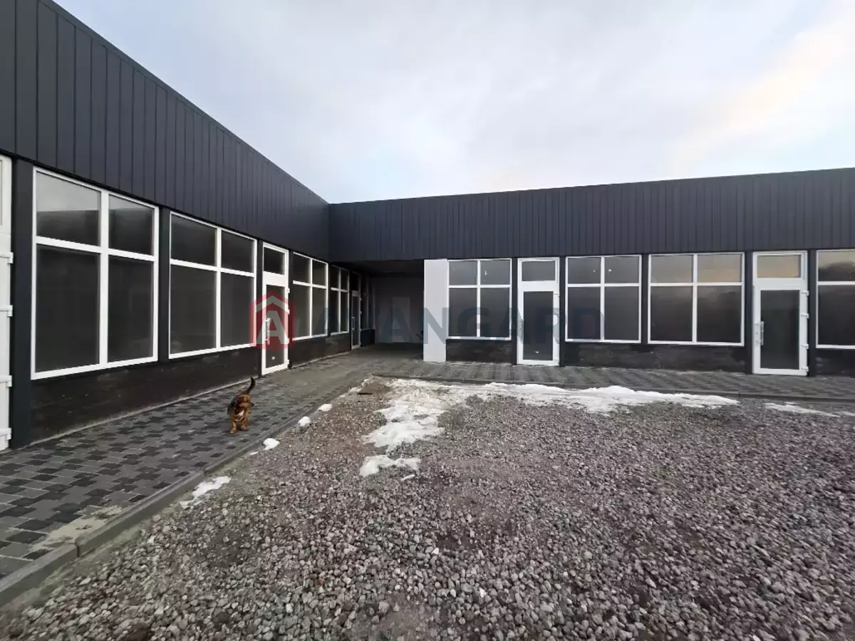 �������� �������, 40 ��.�. ���� 6