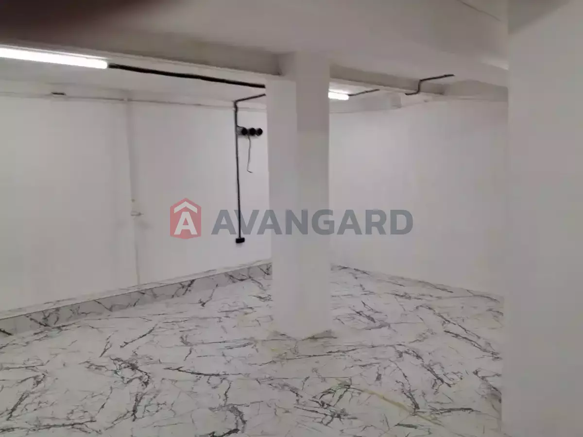 �������� �������, 255 ��.�. ���� 19