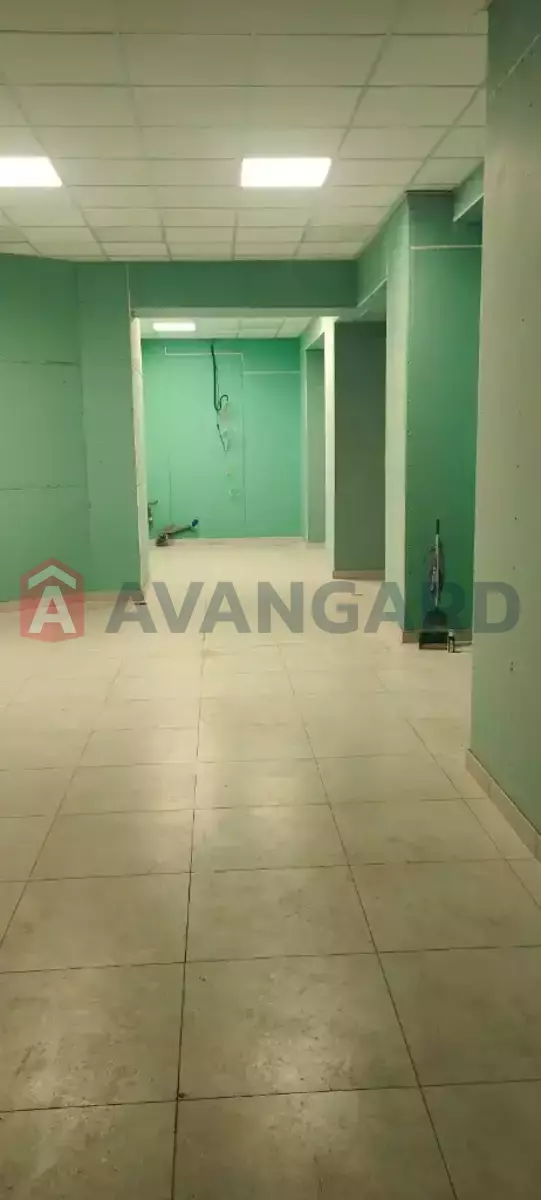 �������� �������, 75 ��.�. ���� 3