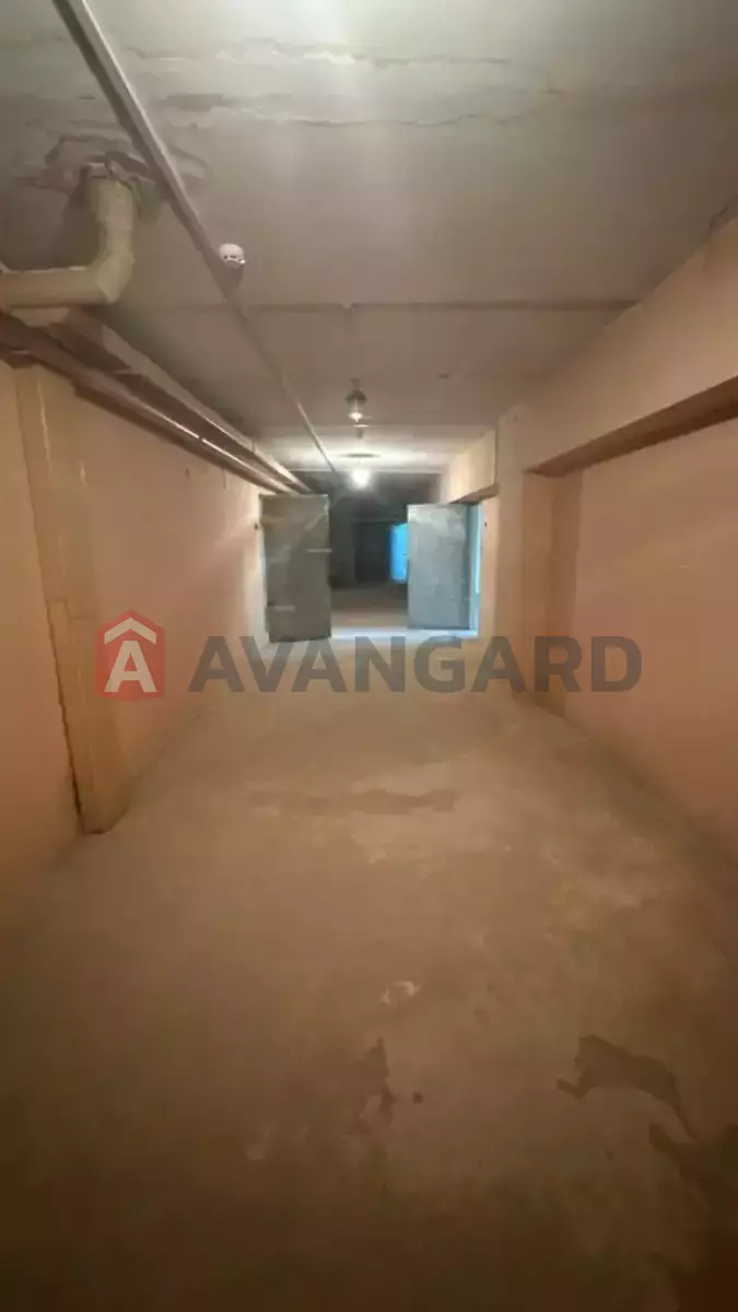 ���������� �����, 369 ��.�. ���� 9