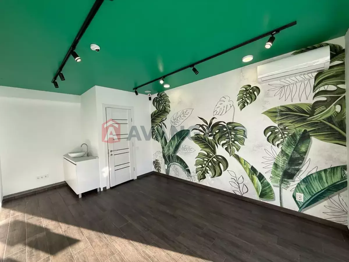 �������� �������, 18 ��.�. ���� 1