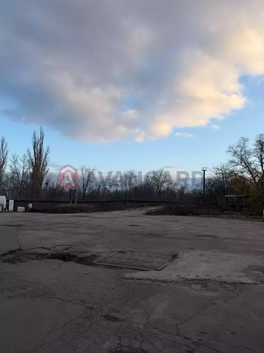 ����� �����, 4000 ��.�. ���� 5