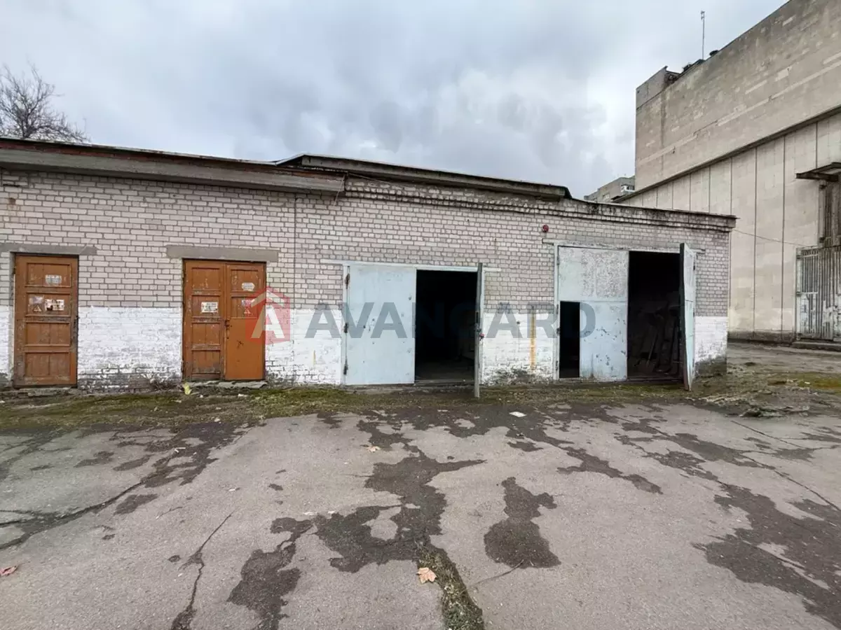 ���������� �����, 98 ��.�. ���� 1