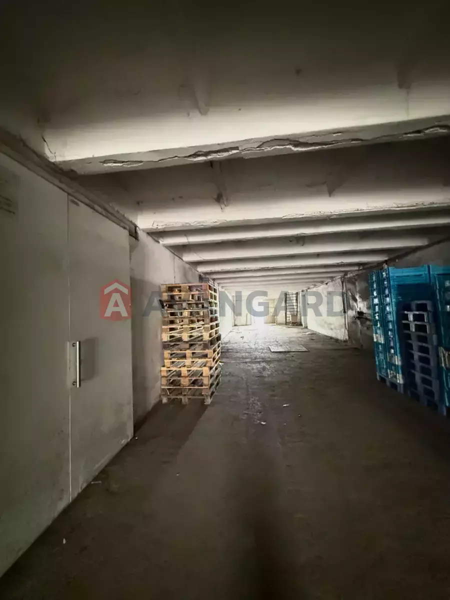 �������� �������, 150 ��.�. ���� 3