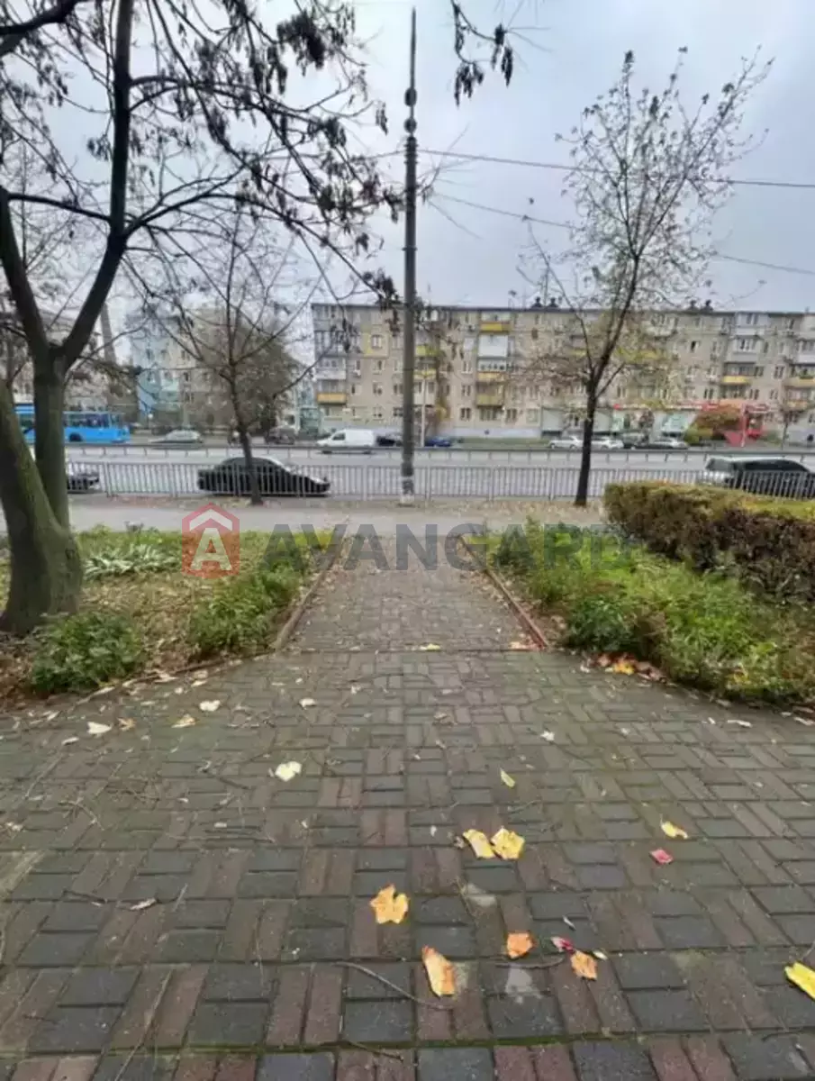 ���������� �����, 55 ��.�. ���� 11