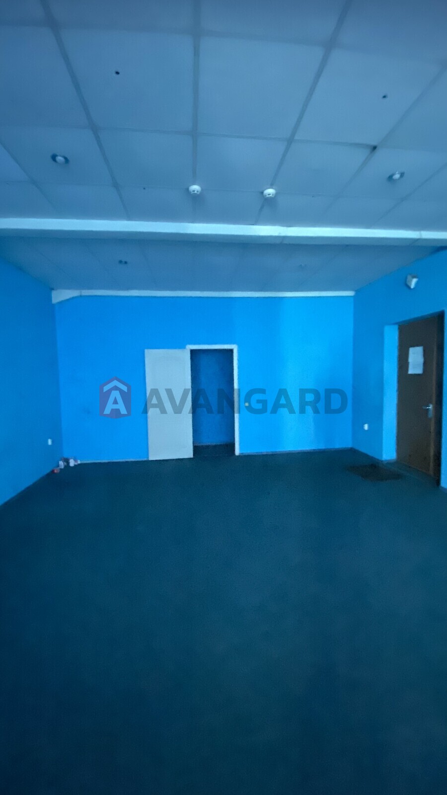 ����� ������, 100 ��.�. ���� 10