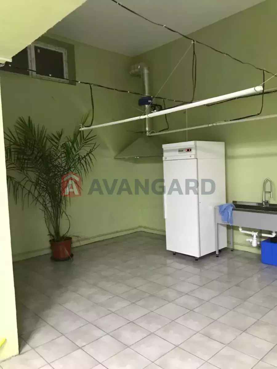 �������� �������, 80 ��.�. ���� 3