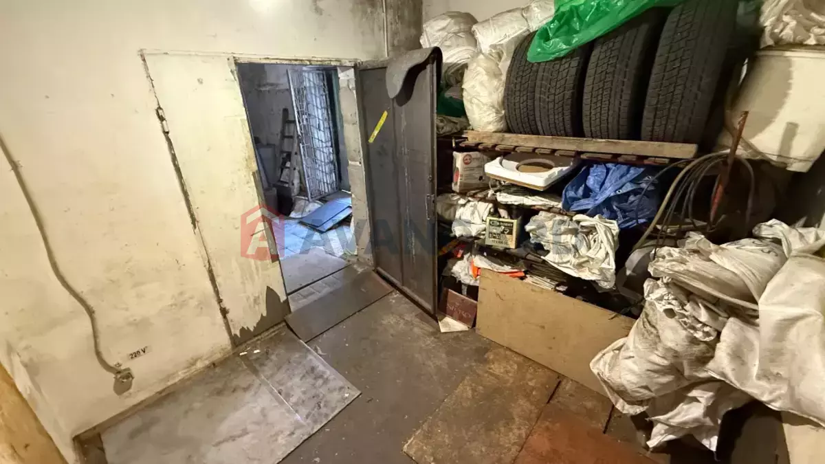 ���������� �����, 300 ��.�. ���� 13