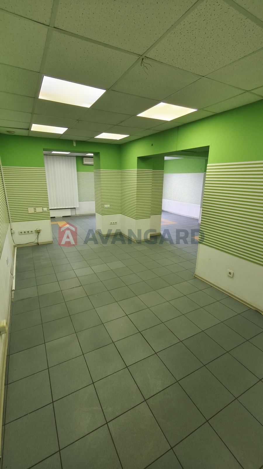 �������� �������, ����� �����, 75 ��.�. ���� 8