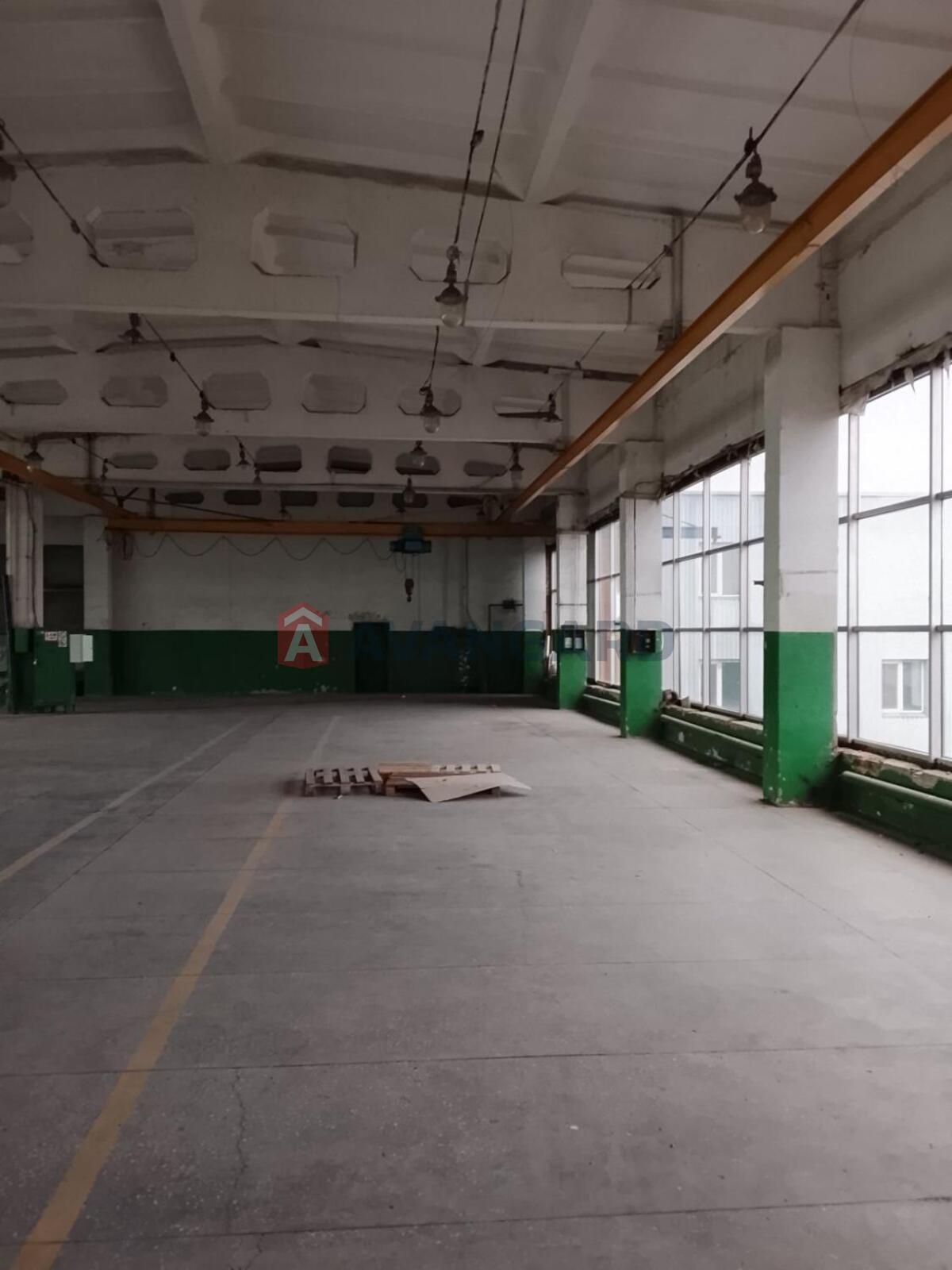 1250 кв.м. фото 3 1250 кв.м. фото 3