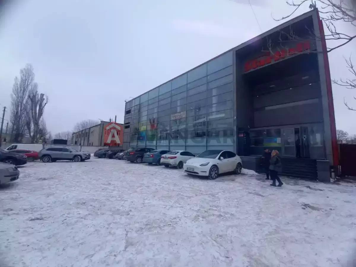 ���������� �����, 1510 ��.�. ���� 12