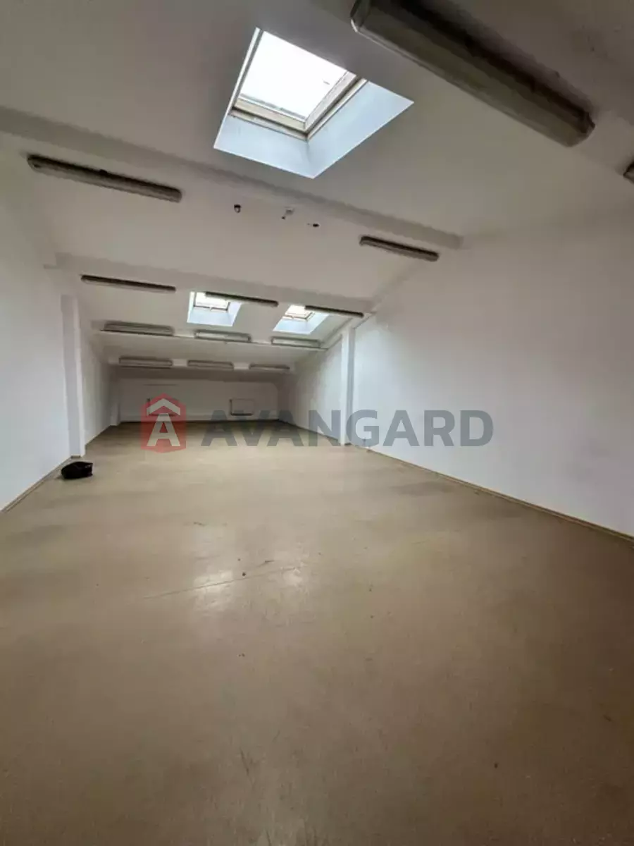 ���������� �����, 50 ��.�. ���� 5