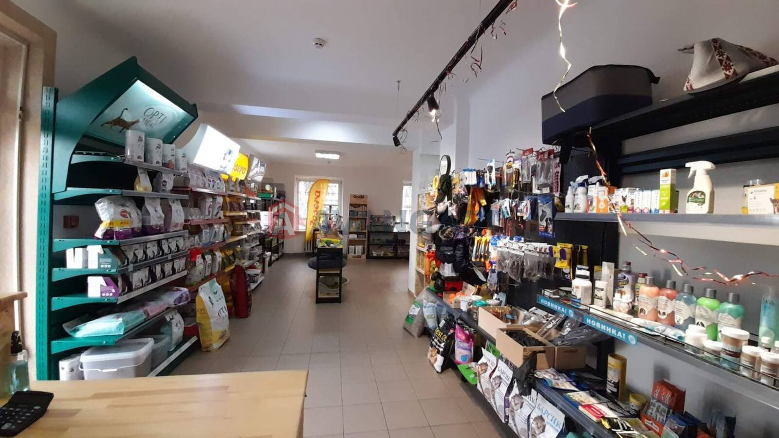 ���������� �����, 48 ��.�. ���� 6