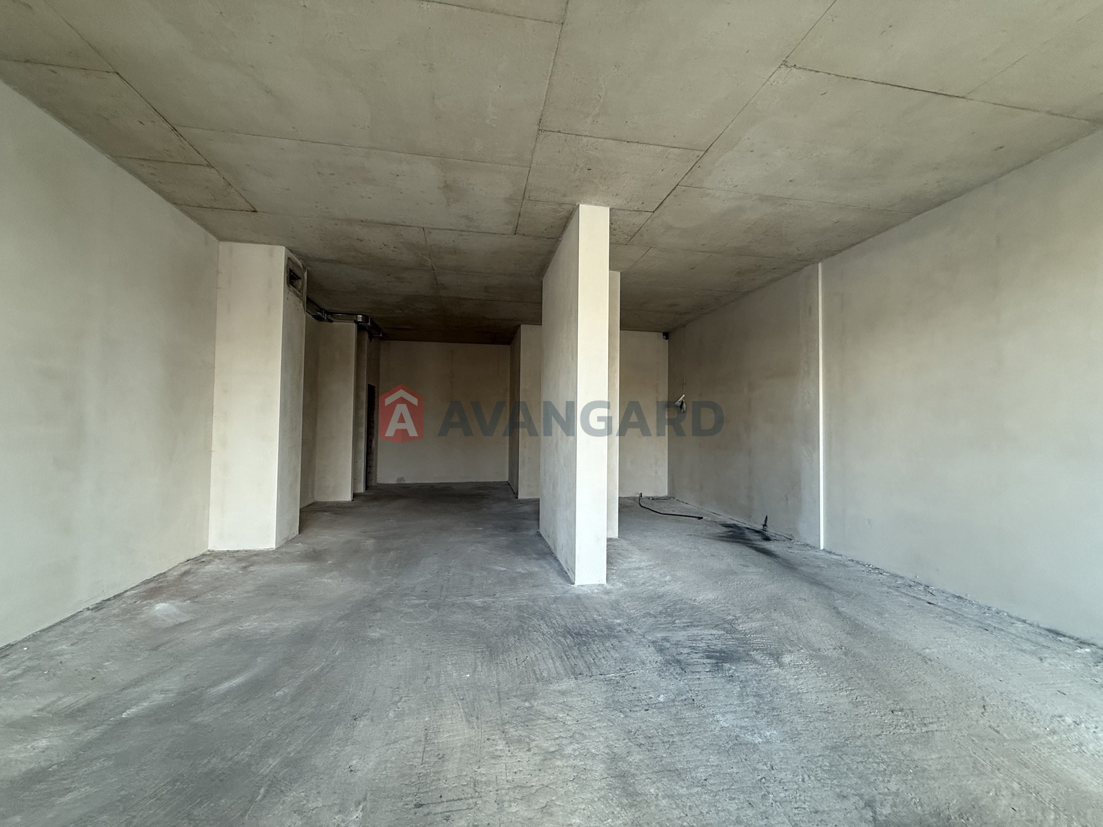 ���������� �����, ����, ���, ��������, ����� ������, 80 ��.�. ���� 24