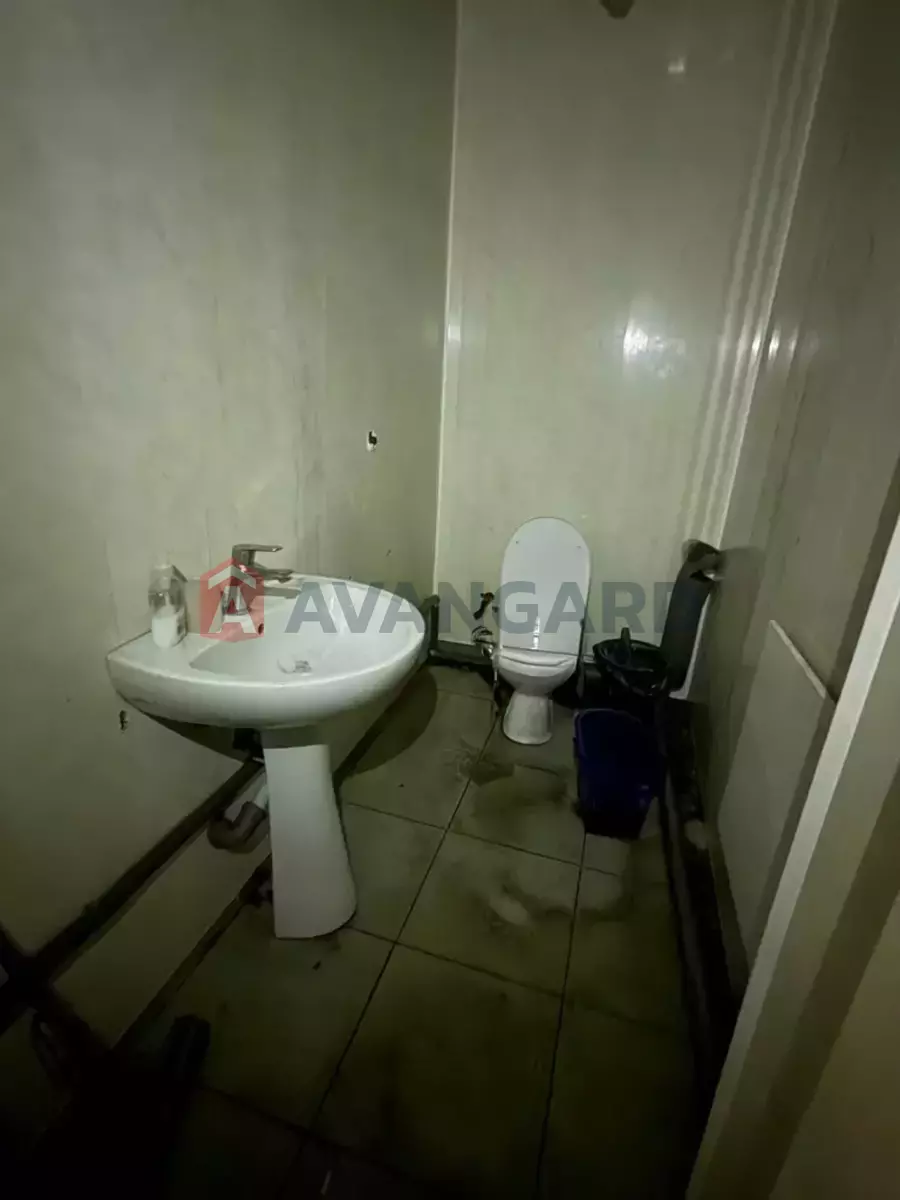 ���������� �����, 350 ��.�. ���� 10