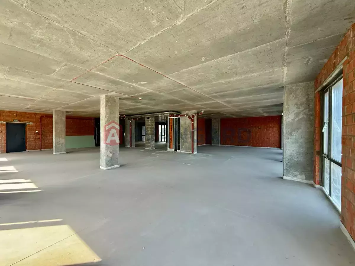 �������� �������, 292 ��.�. ���� 8