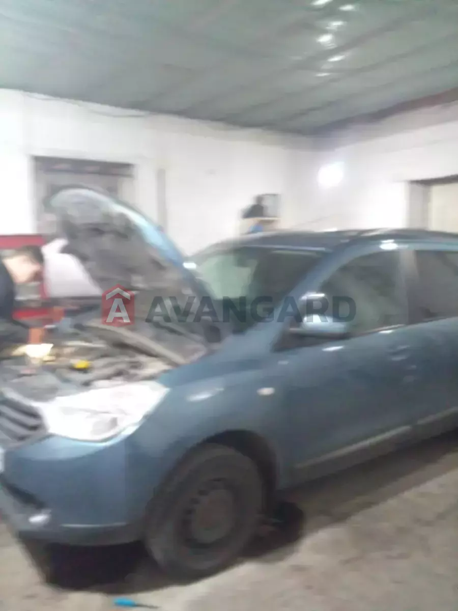 ����� �����, 260 ��.�. ���� 11