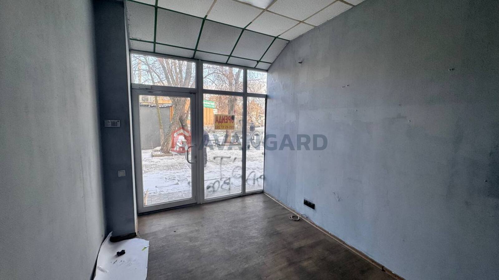 �������� �������, ����, ���, ��������, 19 ��.�. ���� 6