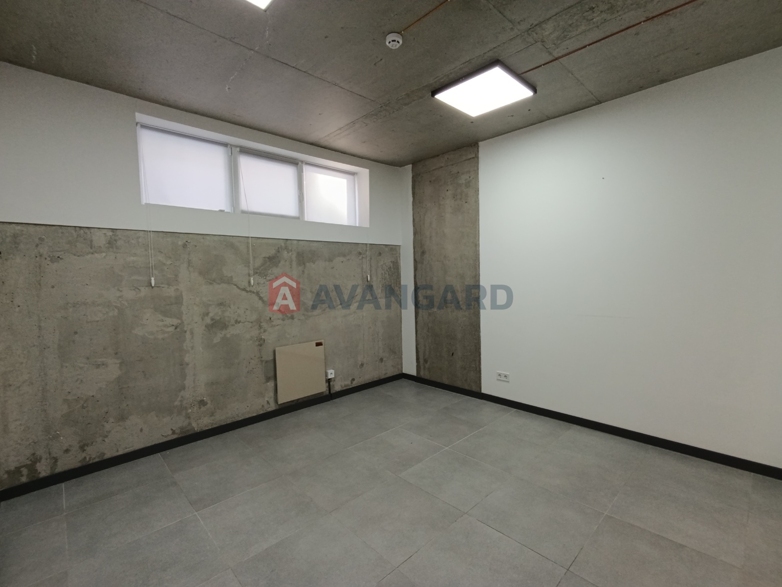 ����� ������, 205 ��.�. ���� 3