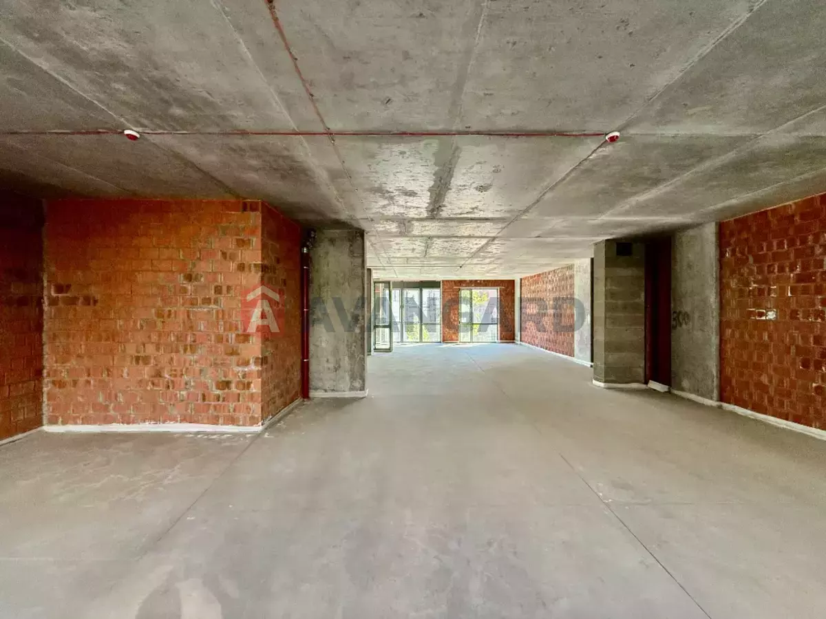 ���������� �����, 240 ��.�. ���� 19