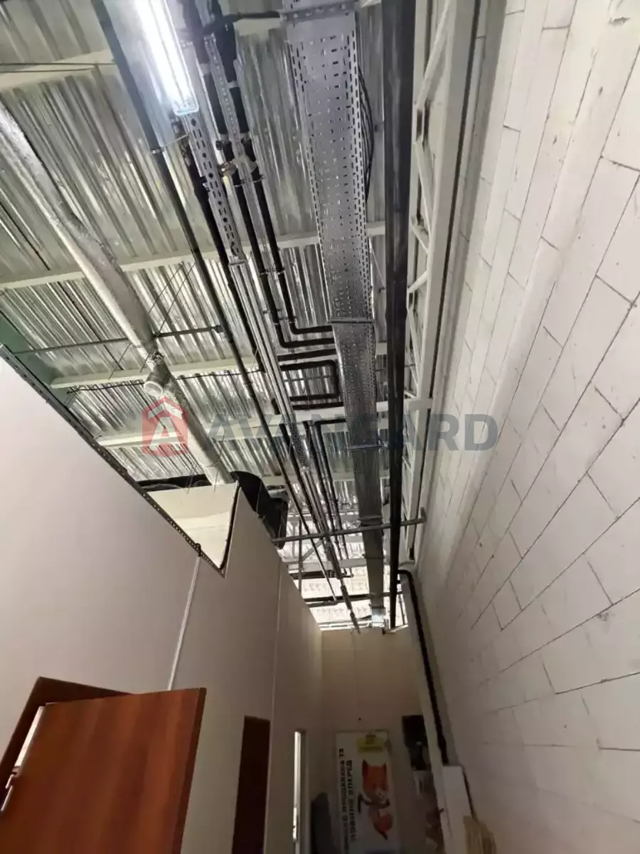 ���������� �����, 1025 ��.�. ���� 8