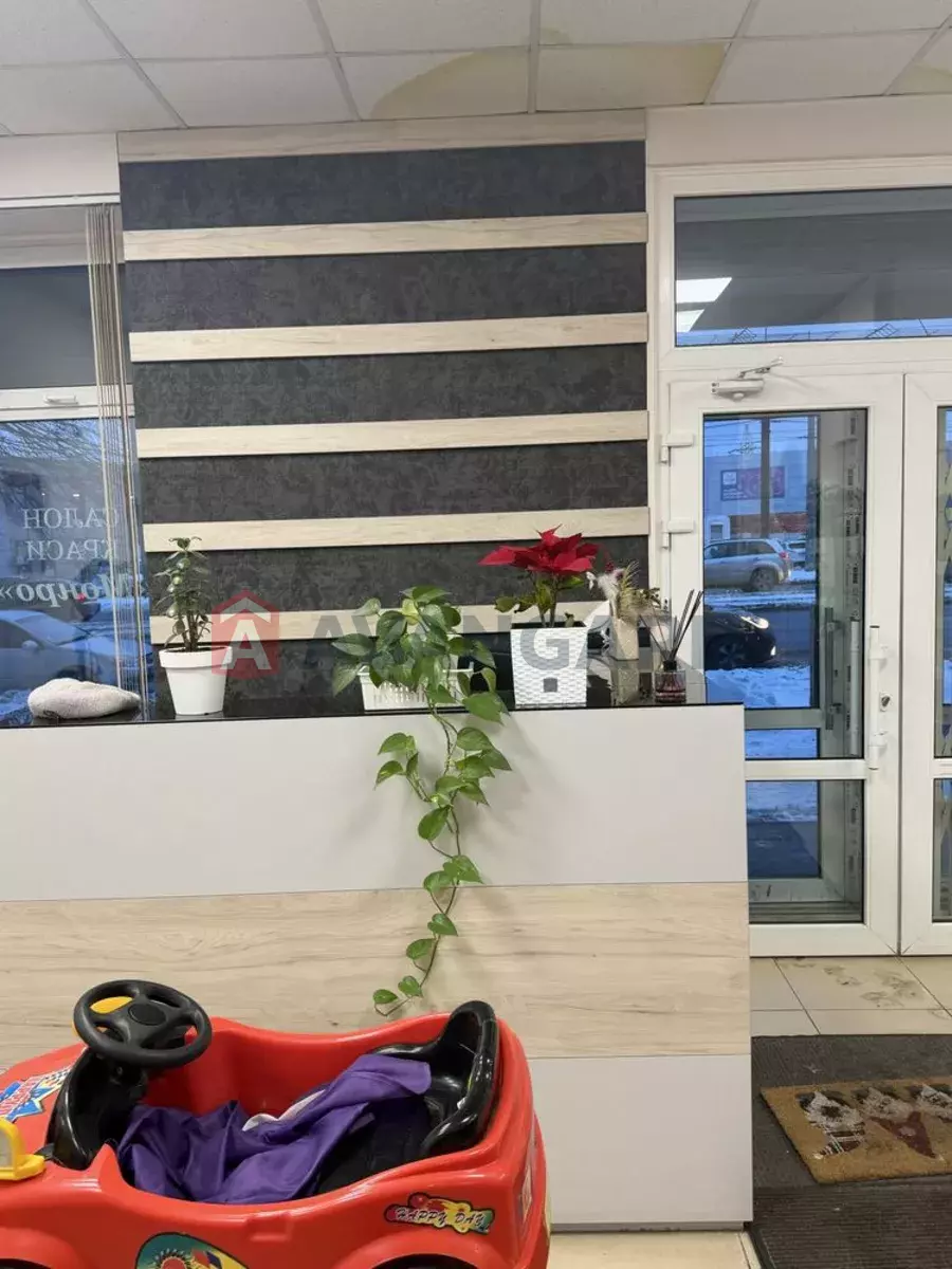 ���������� �����, 86 ��.�. ���� 5