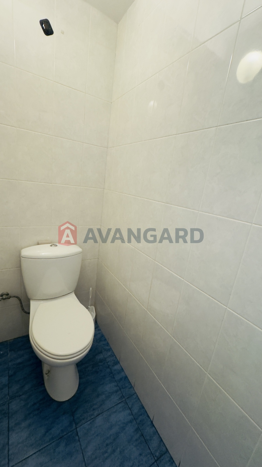 ���������� �����, ����, ���, ��������, ����� ������, 60 ��.�. ���� 11