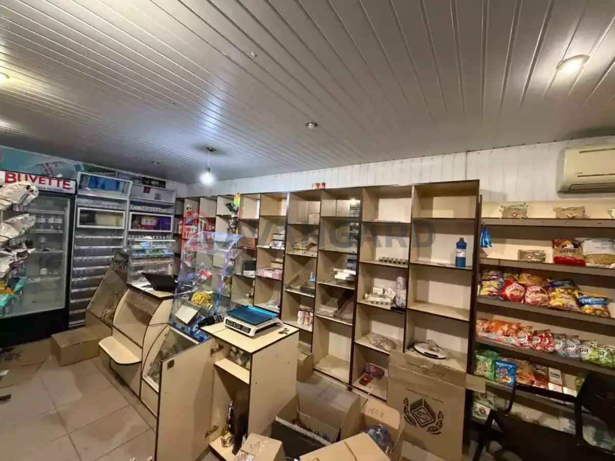 �������� �������, 36 ��.�. ���� 2