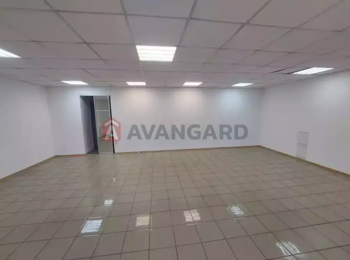 ���������� �����, 55 ��.�. ���� 5