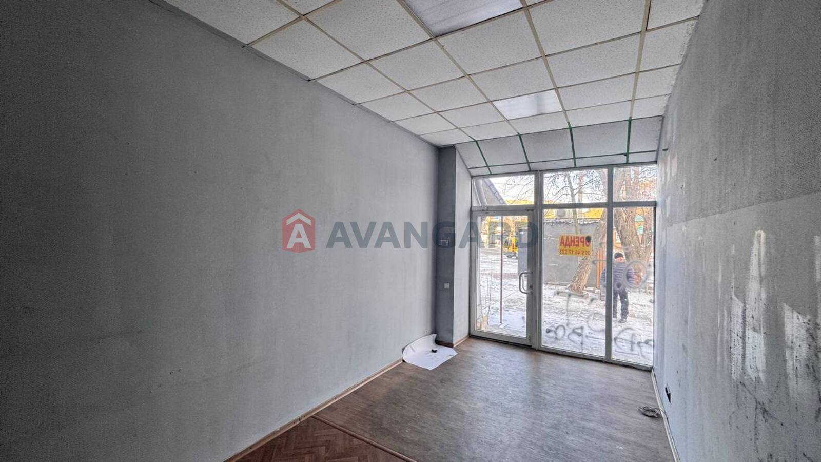 �������� �������, ����, ���, ��������, 19 ��.�. ���� 6