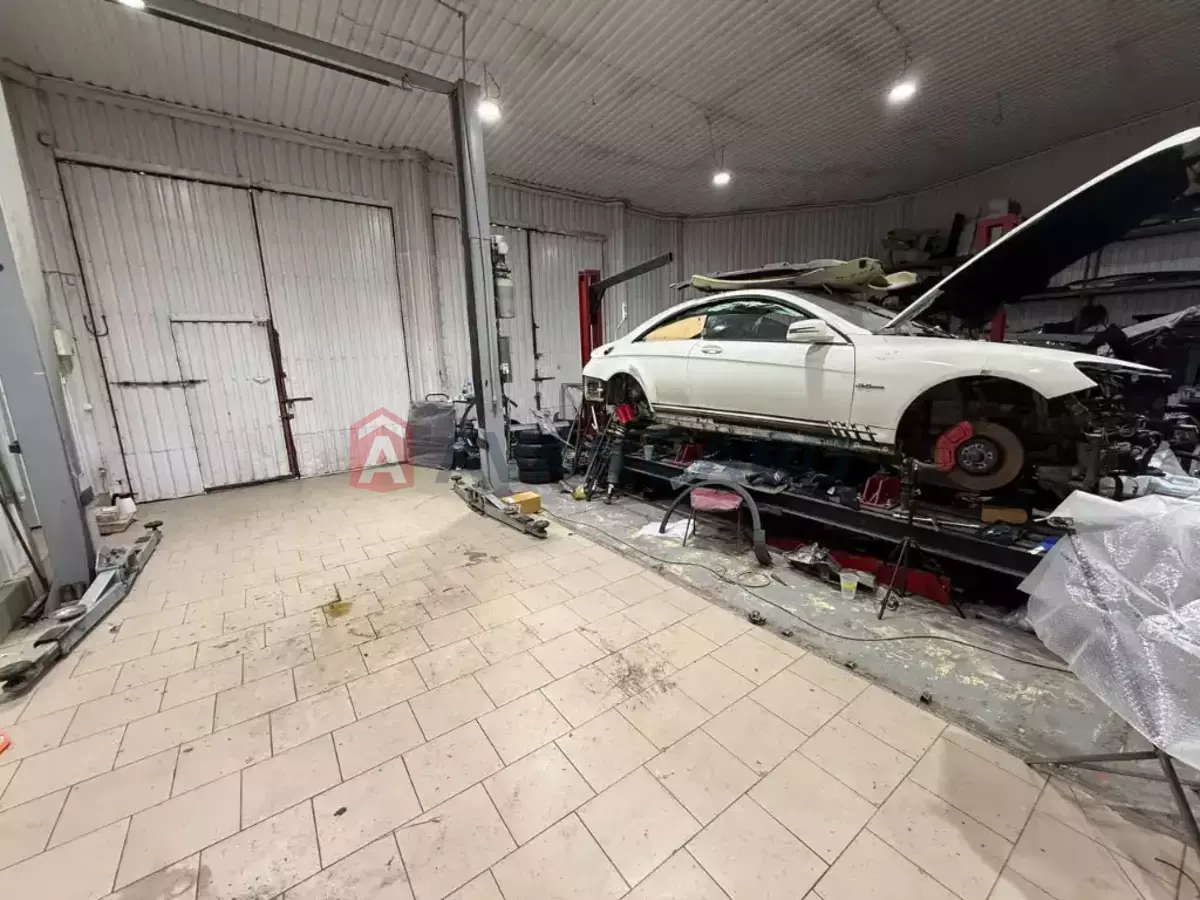 �������� �������, 400 ��.�. ���� 6