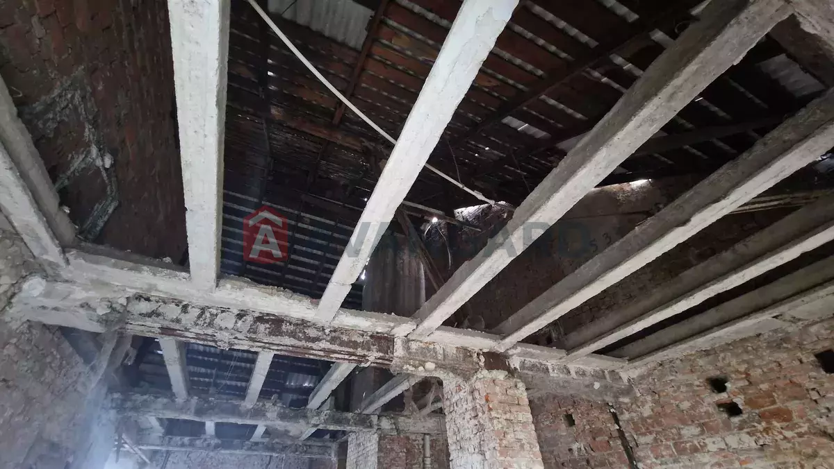 �������� �������, 200 ��.�. ���� 14