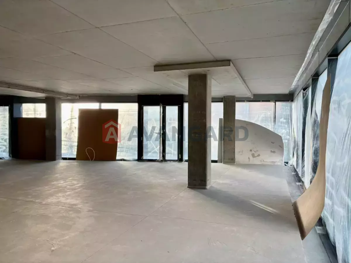 ����, ���, ��������, 428 ��.�. ���� 14