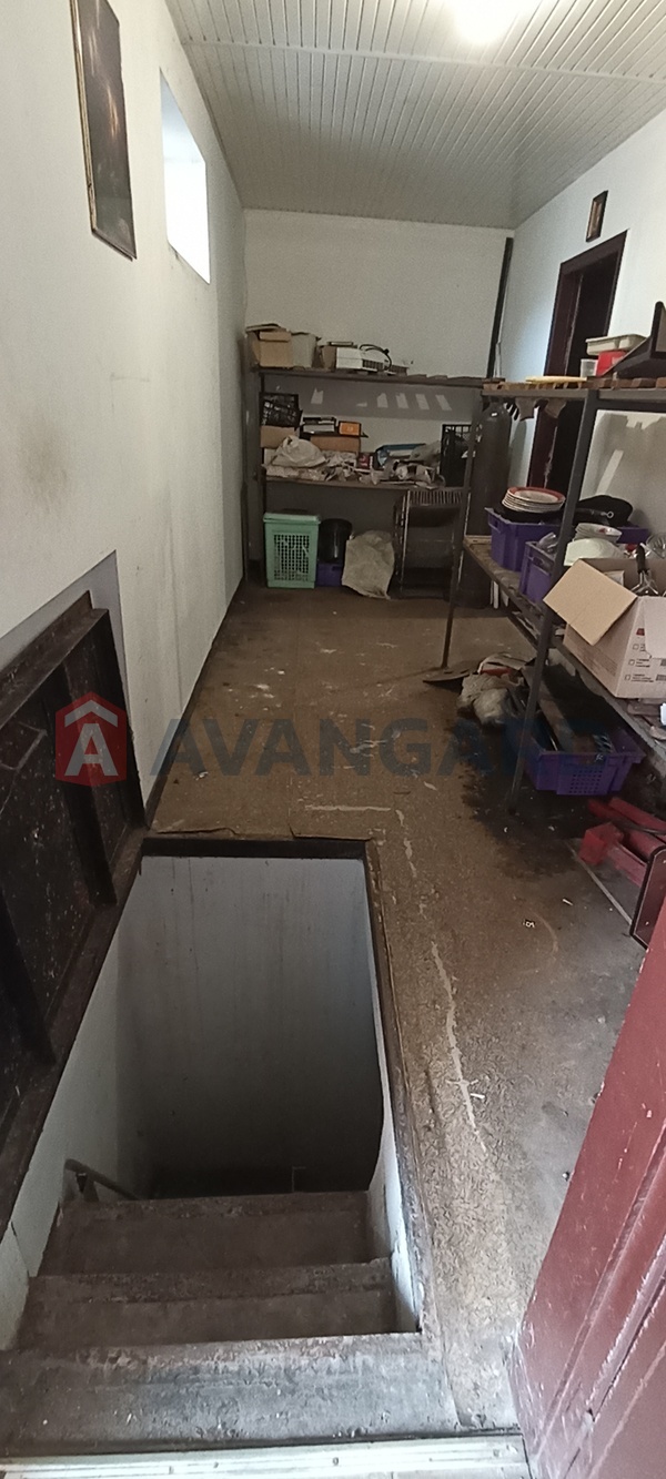 ����, ���, ��������, 100 ��.�. ���� 8