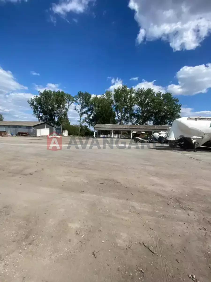 ���������� �����, 80 ��.�. ���� 13