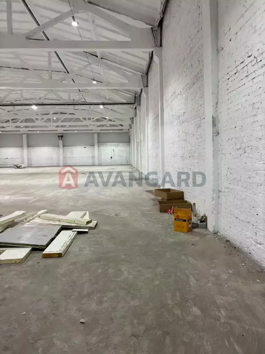 �������� �������, 1000 ��.�. ���� 6