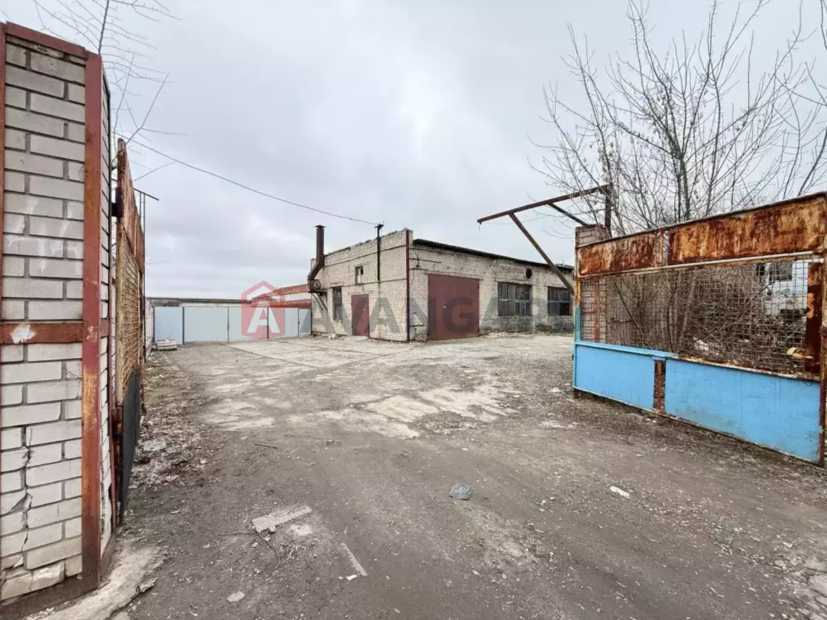 ���������� �����, 350 ��.�. ���� 2