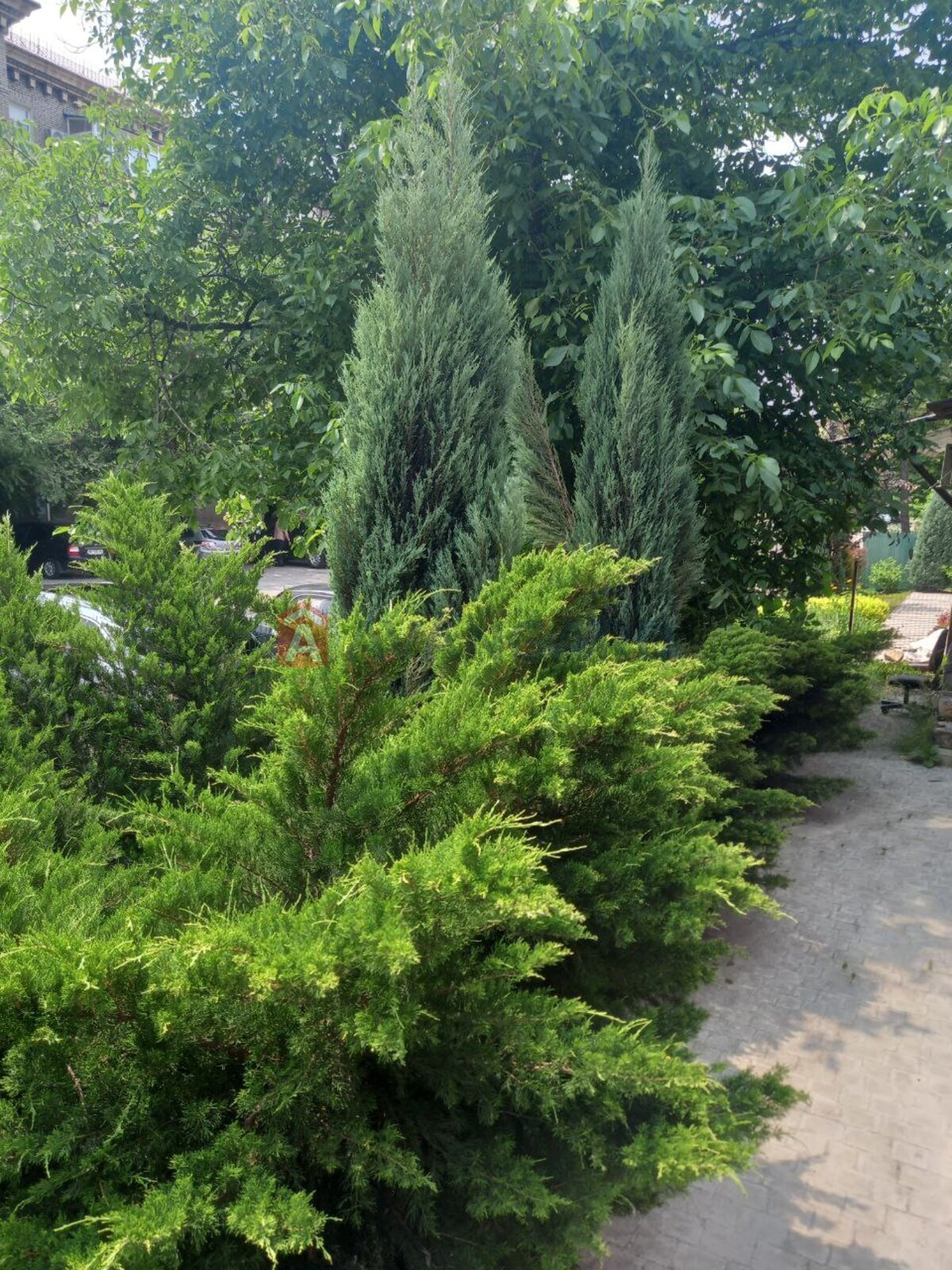 ����� ������, 64 ��.�. ���� 2