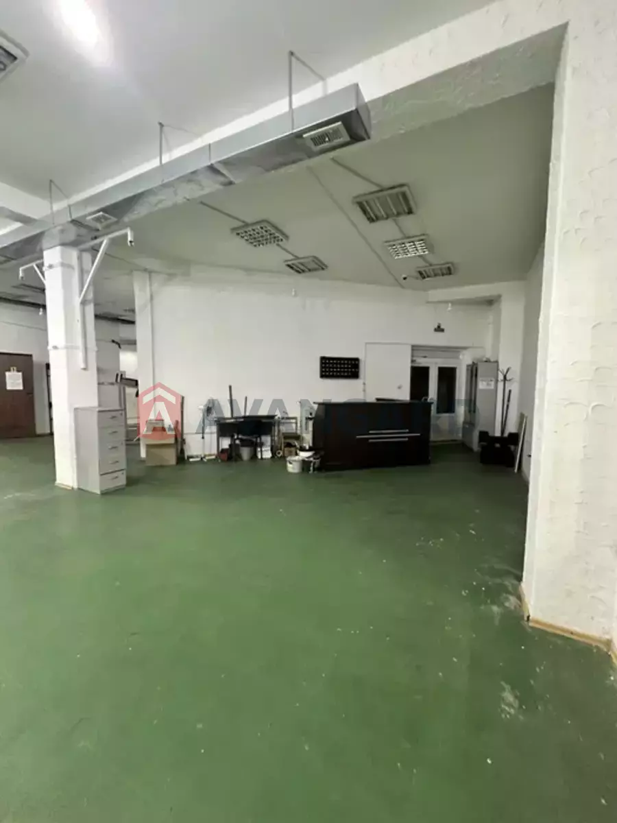 ���������� �����, 50 ��.�. ���� 14