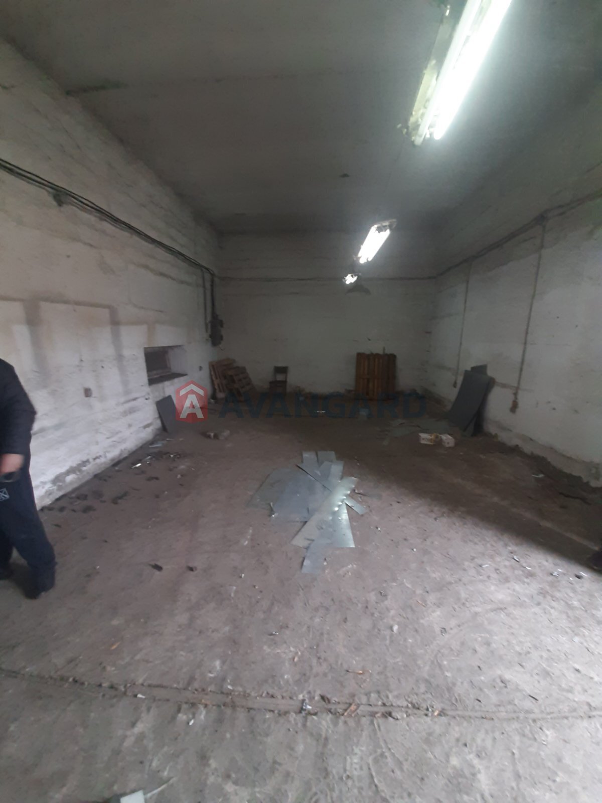 ����� �����, 77 ��.�. ���� 2