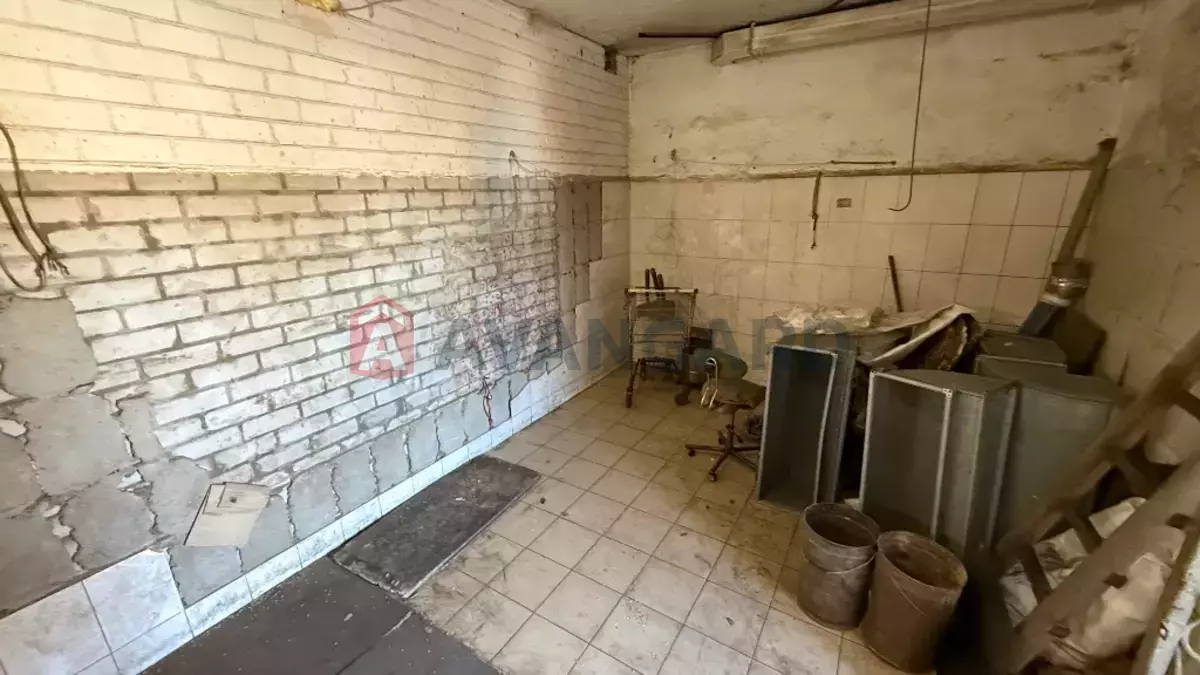 ���������� �����, 300 ��.�. ���� 12