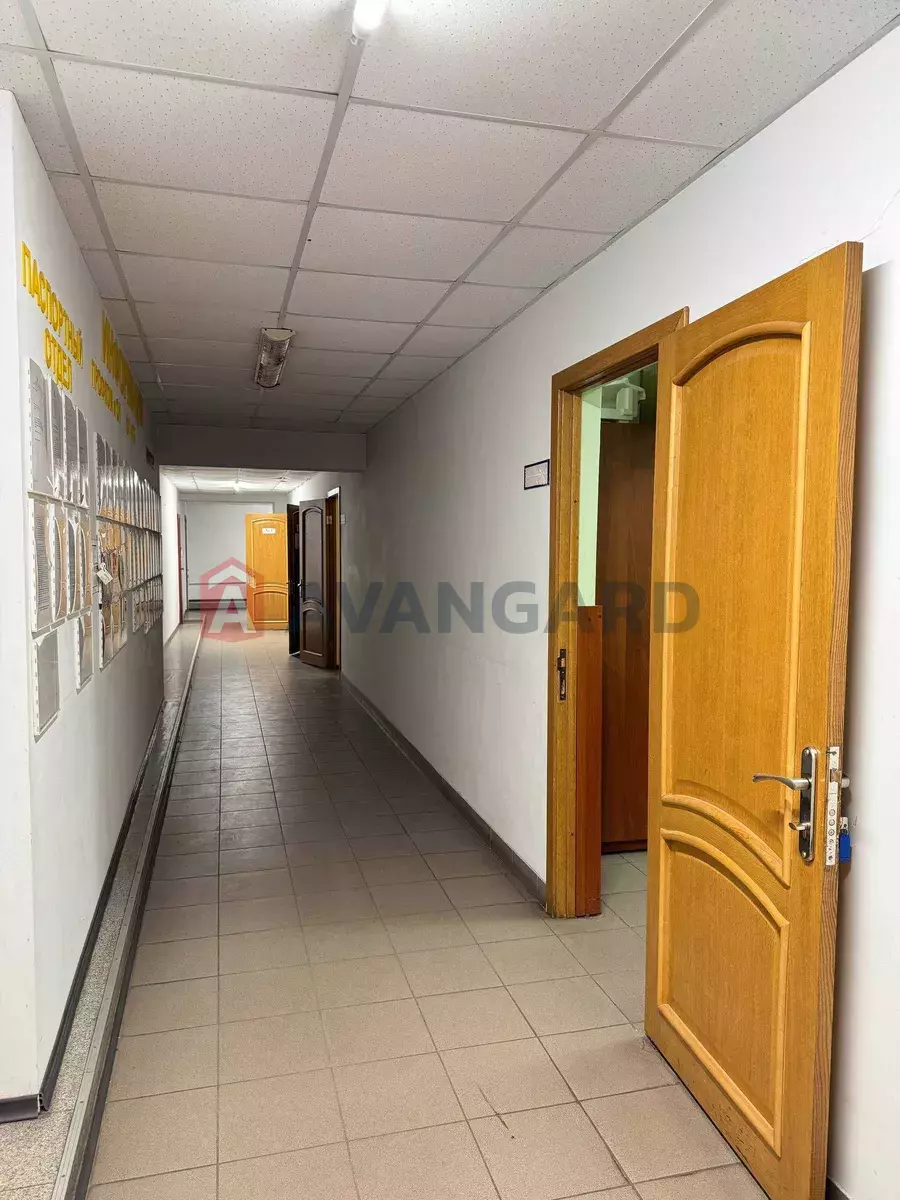 ���������� �����, 178 ��.�. ���� 5